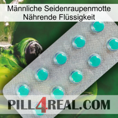 Männliche Seidenraupenmotte Nährende Flüssigkeit 28